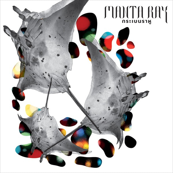 Manta Ray |
