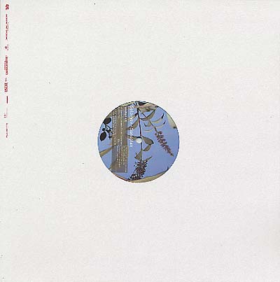 Sonoplex |