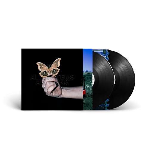 All Systems Are Lying [2Lp] |