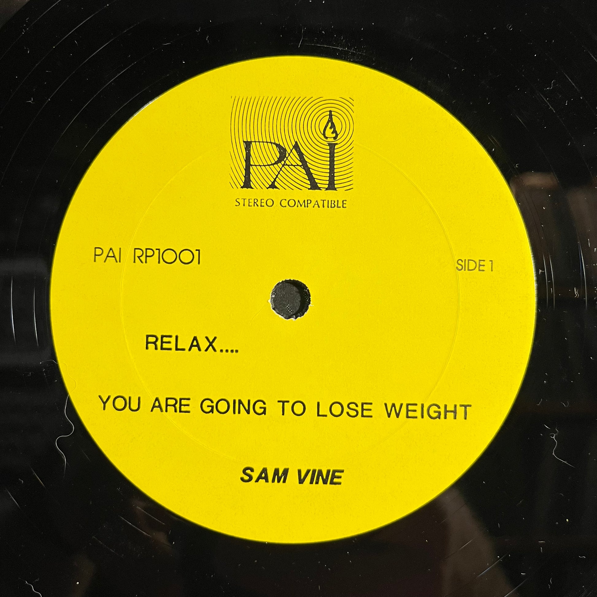 Sam Vine - Relax... You Are Going To Lose Weight | Near Mint (NM) Excellent (EX) - SPOKEN WORD / USED *NEAR MINT*