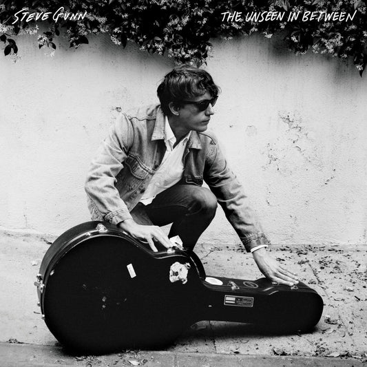 The Unseen In Between (VINYL) | Mint (M) Mint (M) - FOLK *NEW*