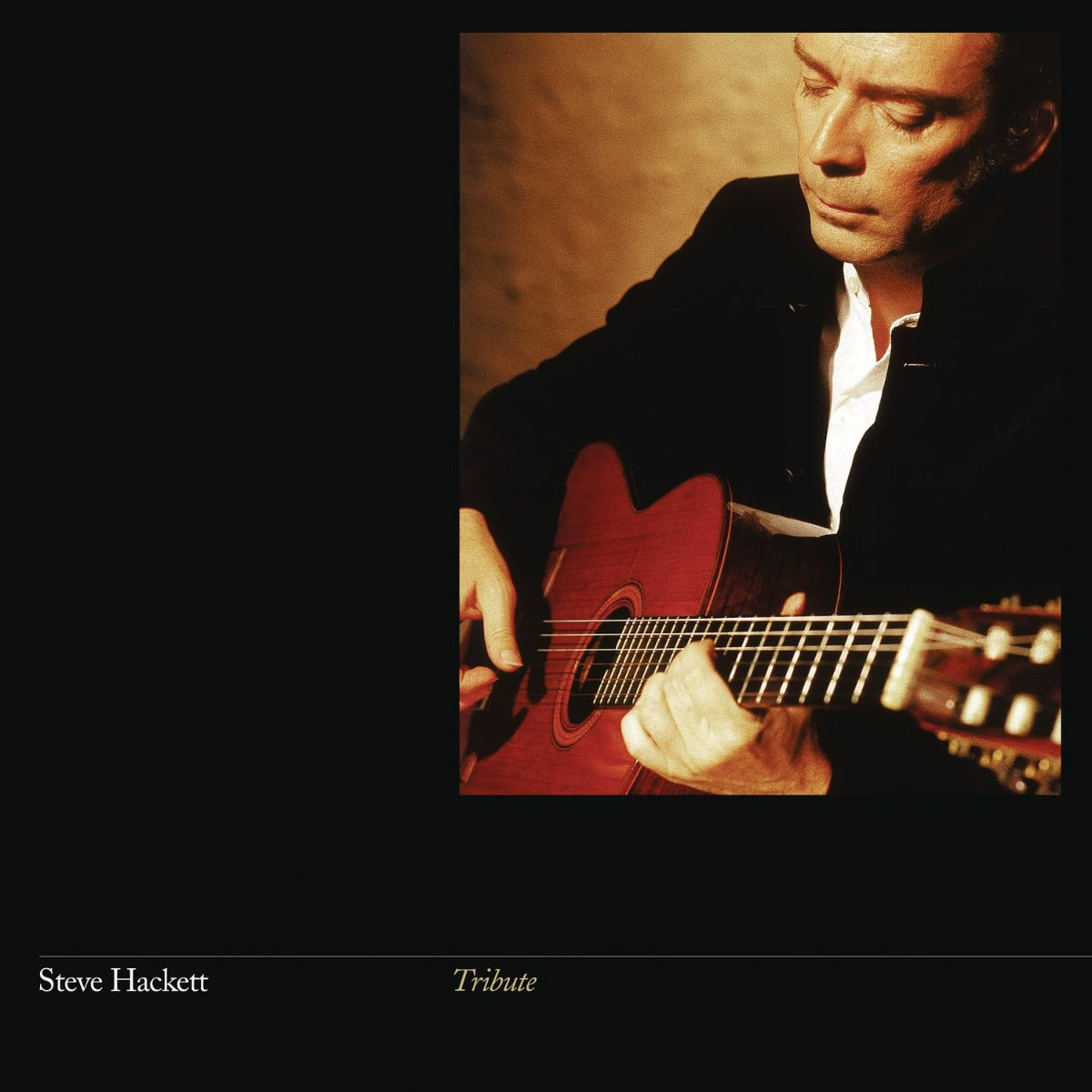 Tribute (Gatefold LP Jacket, Reissue) |
