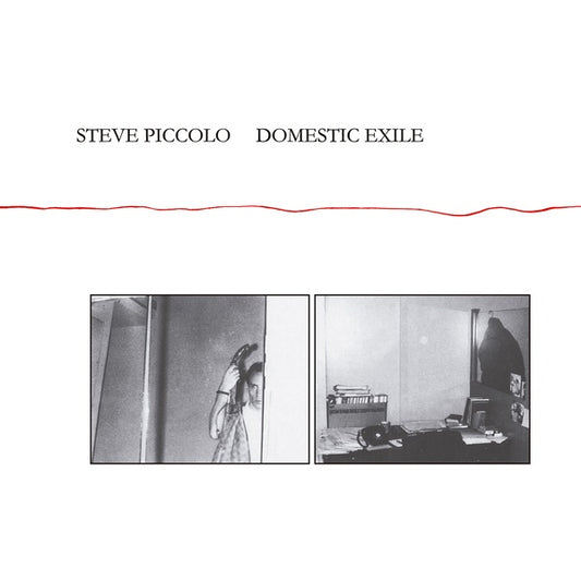 STEVE PICCOLO - Domestic Exile |