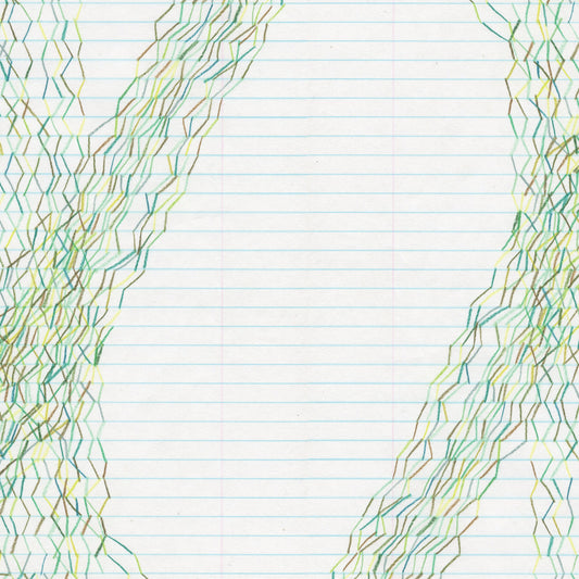 STEVE RODEN - Forms Of Paper |