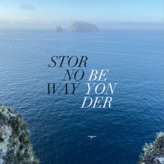 Stornoway - Beyonder (Random Solid Colour Eco Vinyl) |
