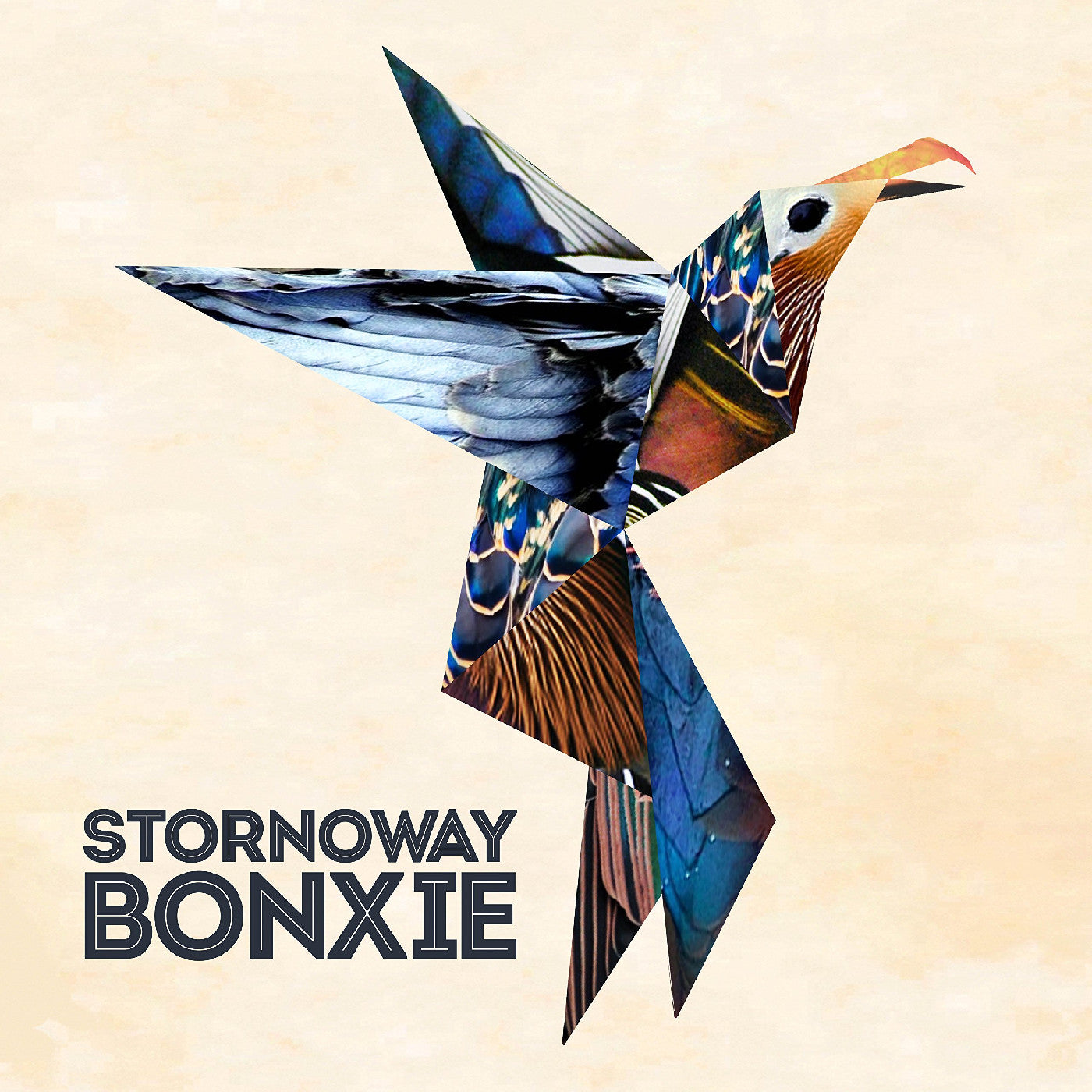Stornoway - Bonxie |