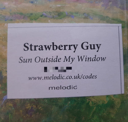 Sun Outside My Window | Mint (M) Mint (M) - ALT/INDIE *SEALED/COLOR*