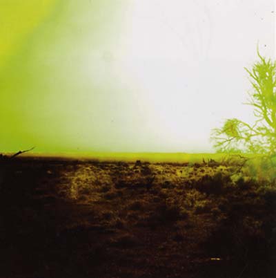 Strings Of Consciousness & Angel |