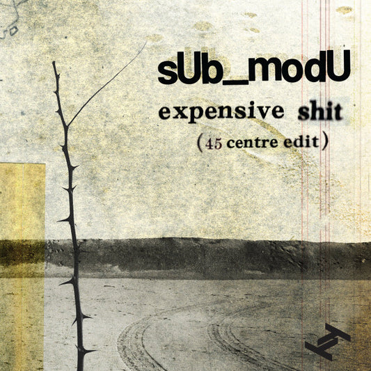 Expensive Shit (45 centre edit) | Mint (M) Mint (M)