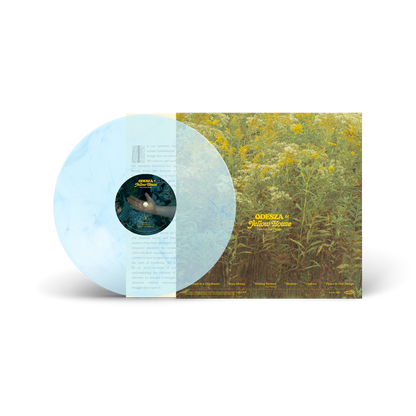 Flaws In Our Design (CLEAR SKY BLUE VINYL) | Mint (M) Mint (M)