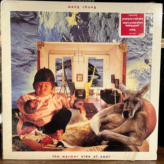 The Warmer Side Of Cool (VINYL) | Near Mint- (NM-) Near Mint (NM) - SYNTH-POP *SEALED*