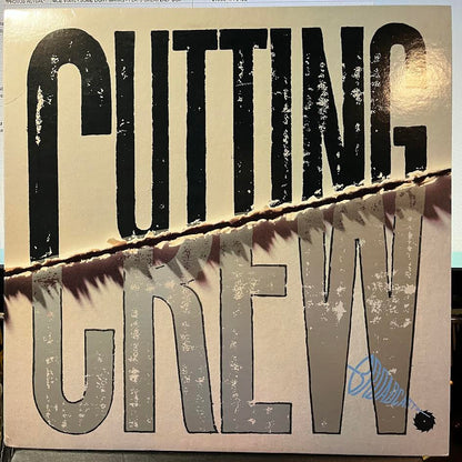 Broadcast (VINYL) | Excellent+ (EX+) Near Mint (NM) - SYNTH-POP / USED *EXCELLENT+*