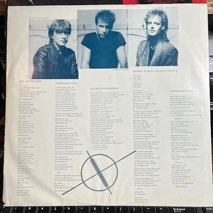 Boy In The Box (VINYL) | Near Mint- (NM-) Near Mint (NM) - SYNTH-POP / USED *NEAR MINT-*