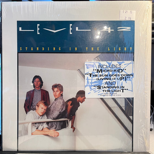 Standing In The Light (VINYL) | Near Mint (NM) Near Mint (NM) - SYNTH-POP / USED *NEAR MINT*