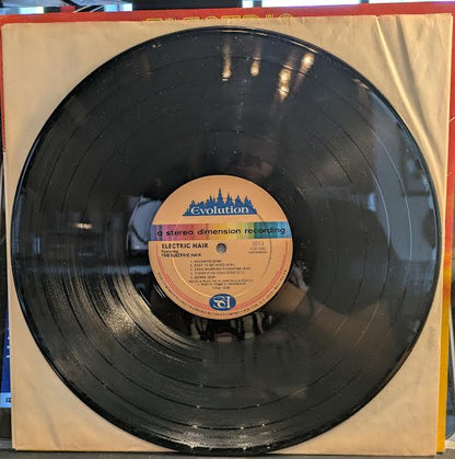 Electric Hair - Switched-On Hits From America's First Tribal Love Rock Musical (VINYL) | Near Mint (NM or M-) Near Mint (NM or M-) - SYNTH-POP / USED *NEAR MINT*