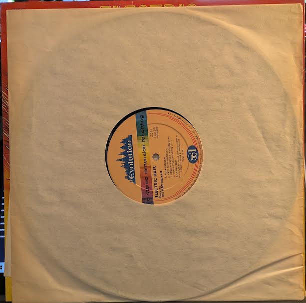 Electric Hair - Switched-On Hits From America's First Tribal Love Rock Musical (VINYL) | Near Mint (NM or M-) Near Mint (NM or M-) - SYNTH-POP / USED *NEAR MINT*