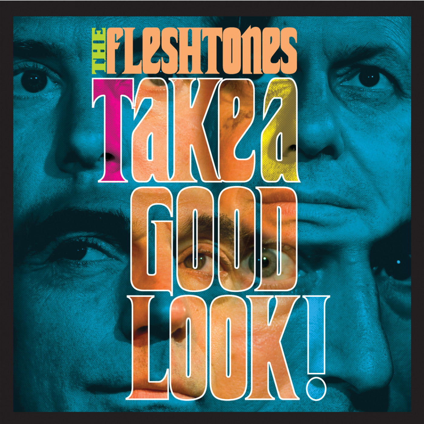 Fleshtones, The - Take a Good Look (CD) |