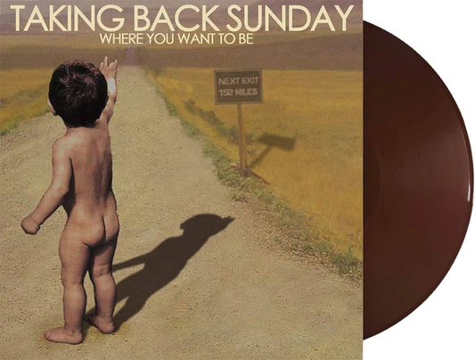 Where You Want to Be (Indie Exclusive, Limited Edition, Brown Vinyl) | Mint (M) Mint (M) - PUNK *SEALED/COLOR*