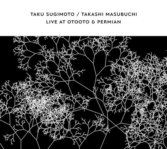 Live At OTOOTO & Permian |