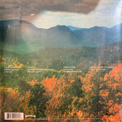 Innerspeaker | Mint (M) Mint (M) - ALT/INDIE *SEALED*