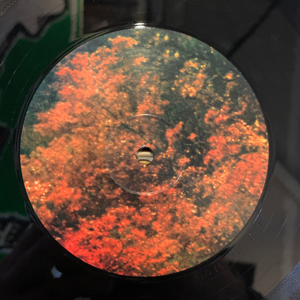 Innerspeaker | Mint (M) Mint (M) - ALT/INDIE *SEALED*