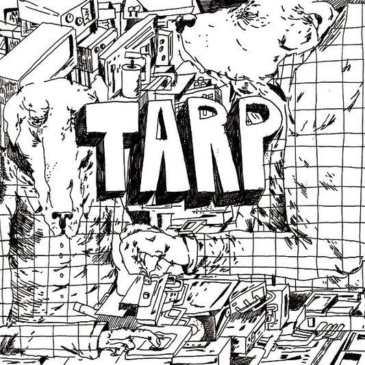 Tarp |