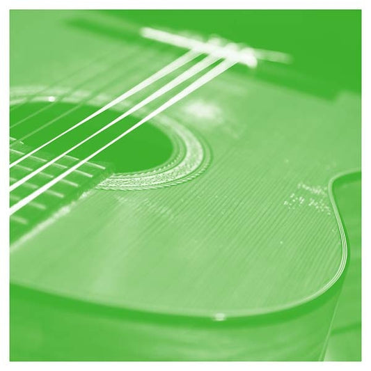 Solo Acoustic Volume Thirteen |