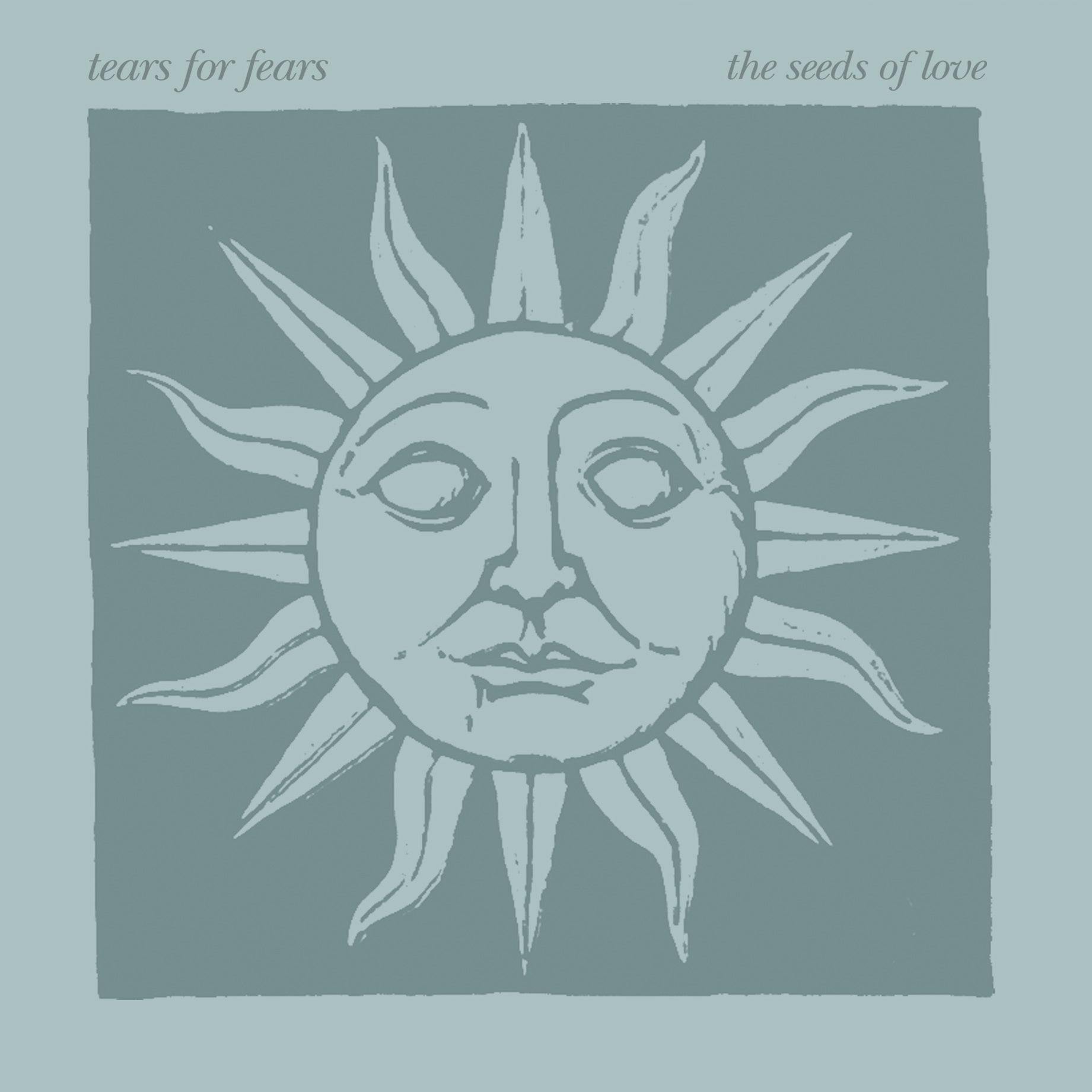 Tears For Fears - The Seeds Of Love (Deluxe Edition) [Blue Marble] [2LP] |