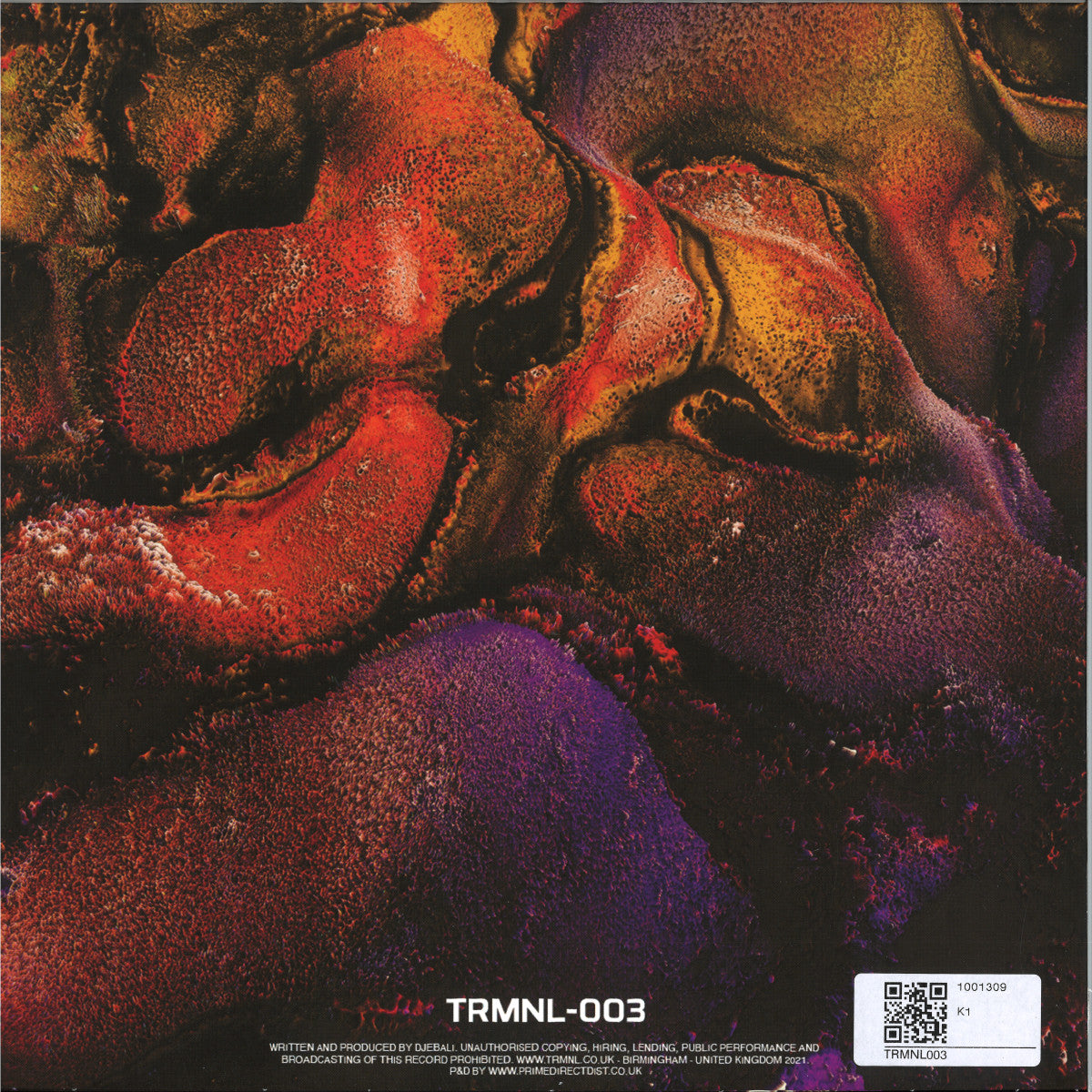 Djebali - Rave Vision [TRMNL003] (ORANGE VINYL 12" TRMNL) | NEW - TECH HOUSE *NEW/COLOR*