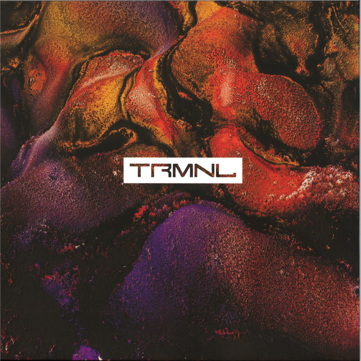 Djebali - Rave Vision [TRMNL003] (ORANGE VINYL 12" TRMNL) | NEW - TECH HOUSE *NEW/COLOR*