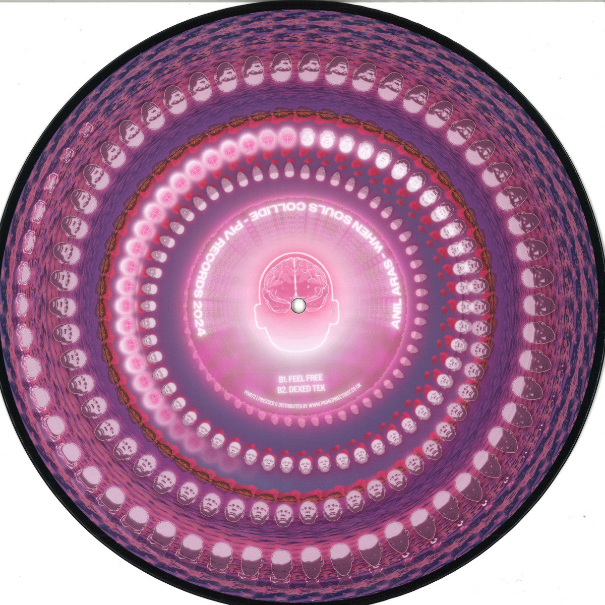 Anil Aras - When Souls Collide (PICTURE DISC VINYL 12" PIV) | NEW - TECH HOUSE *NEW/COLOR*