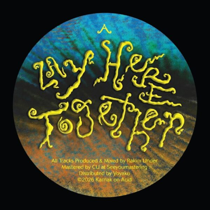 (PRESALE 4/27/26) Lay Here Together (VINYL) | Mint (M) Mint (M) - TECH HOUSE *NEW*