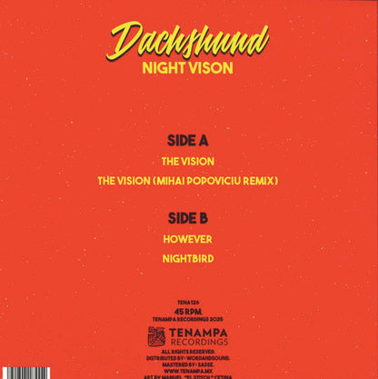 Night Vision (Mihai Popoviciu Remix) (VINYL 12") | - TECH HOUSE *NEW*
