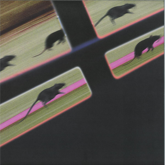 DJ JM - (PRESALE) Rat Race (VINYL) | Mint (M) Mint (M) - TECH HOUSE *NEW*