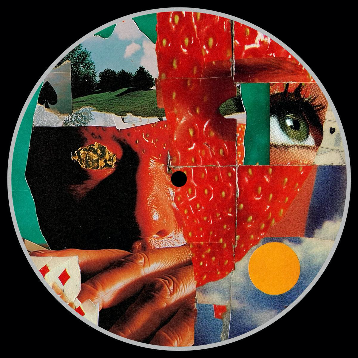 Play & Play (VINYL) | Mint (M) Mint (M) - TECH HOUSE *NEW*