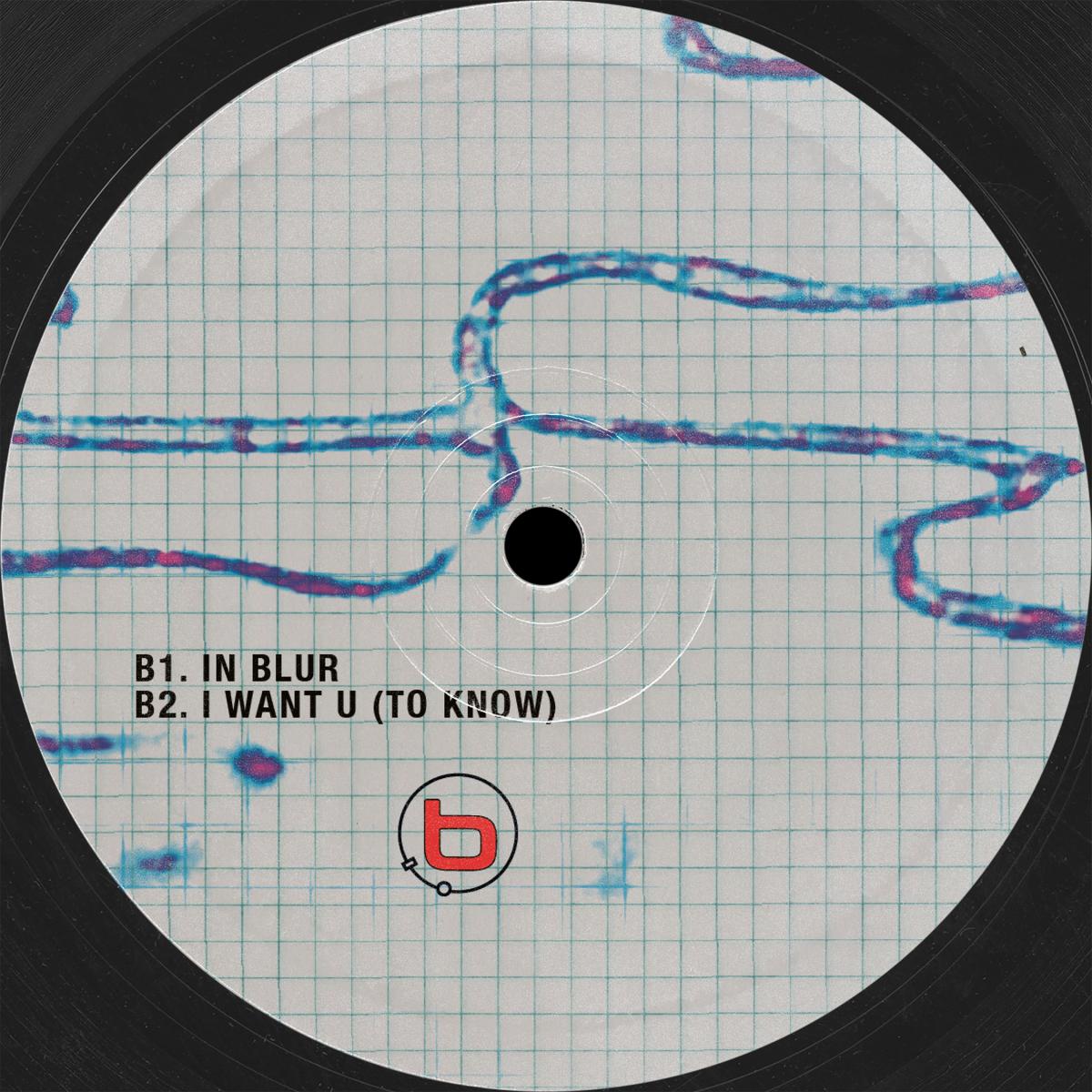 Bliss Inc. - (PRESALE 09/04/26) echo-chambered (VINYL 12" Punctuality PNCT011 2026) | NEW - TECH HOUSE *NEW*