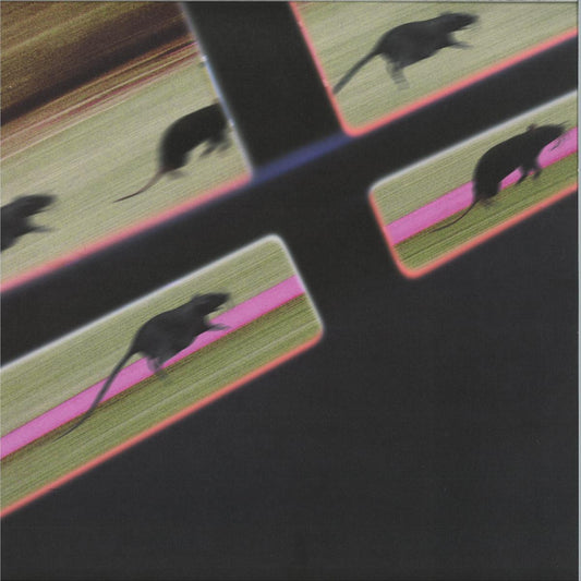DJ JM - Rat Race (VINYL 12" Fever AM) | NEW Mint (M) Mint (M) - TECH HOUSE *NEW*