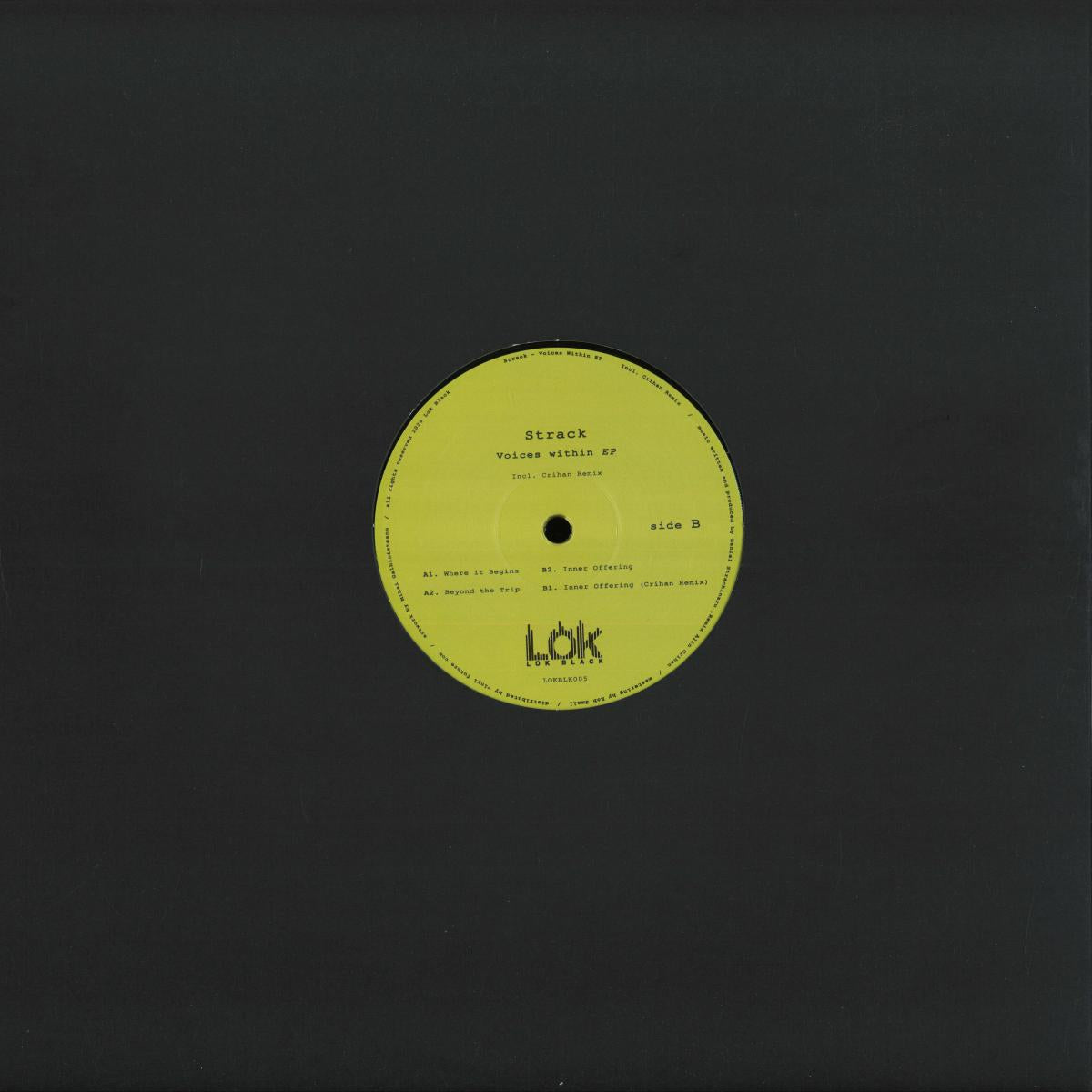 Strack - Voices Within (VINYL 12" Lok) | NEW - TECH HOUSE *NEW*