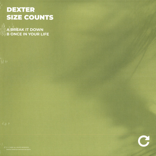 Size Counts (VINYL) | Mint (M) Mint (M) - TECH HOUSE *NEW*
