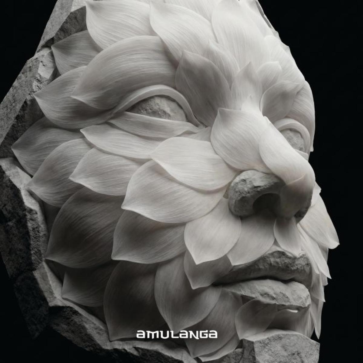 Various - AML007 (VINYL 12" Amulanga AML007 2026) | NEW - TECH HOUSE *NEW*