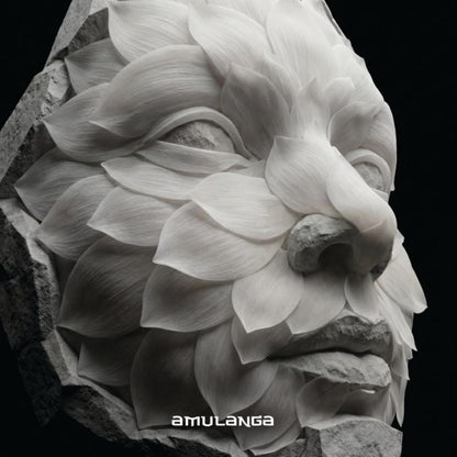 Various - AML007 (VINYL 12" Amulanga AML007 2026) | NEW - TECH HOUSE *NEW*
