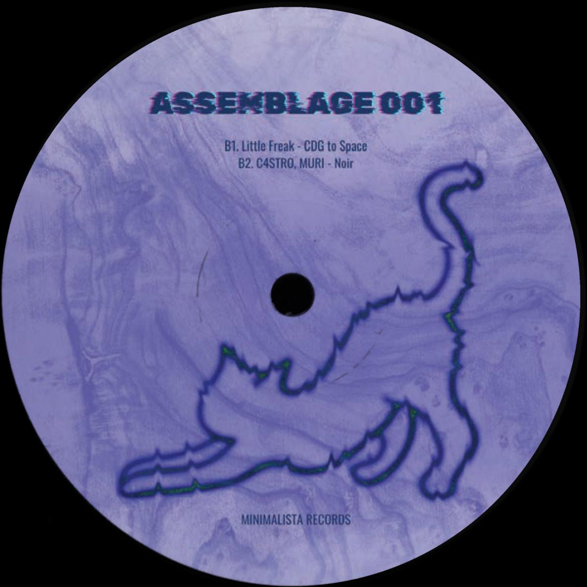 Various - (PRESALE 10/16/26) ASSEMBLAGE001 (VINYL 12" Minimalistas) | NEW - TECH HOUSE *NEW*