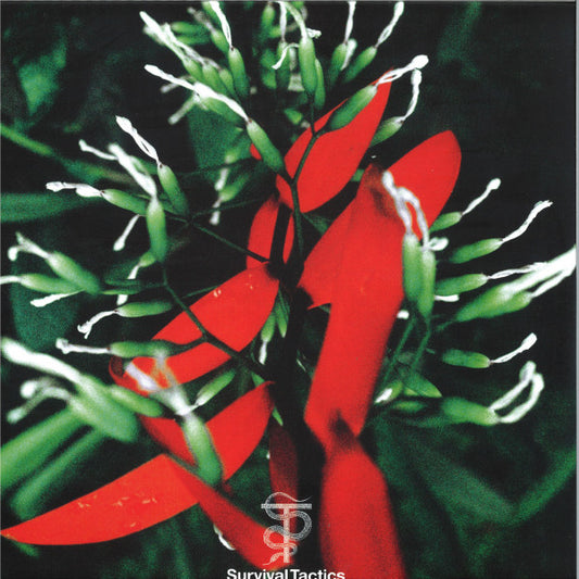 Everybody (VINYL) | Mint (M) Mint (M) - TECH HOUSE *SEALED*