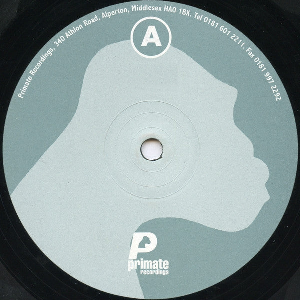 Hypertension '99 E.P. | Very Good Plus (VG+) Very Good Plus (VG+) - TECH HOUSE / USED *VERY GOOD+*