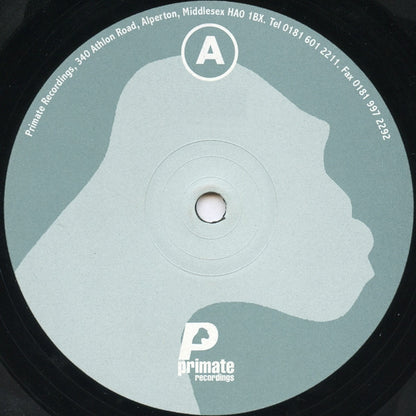 Hypertension '99 E.P. | Very Good Plus (VG+) Very Good Plus (VG+) - TECH HOUSE / USED *VERY GOOD+*