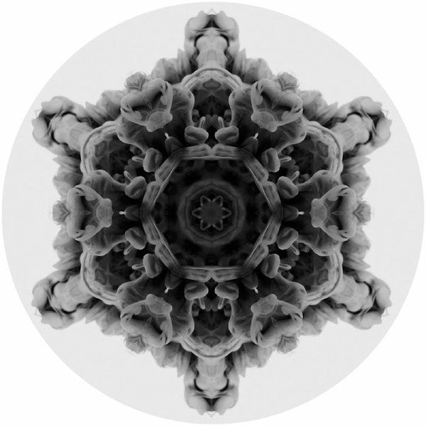 12 | Mint (M) Generic - TECH HOUSE *NEW*