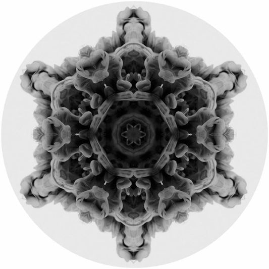 12 | Mint (M) Generic - TECH HOUSE *NEW*