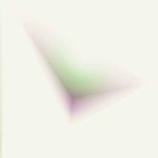 In Echoes Of Fractured Light (VINYL) | Mint (M) Mint (M) - TECHNO/AMBIENT *NEW*