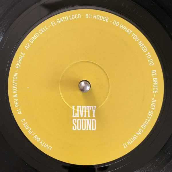 Various Molten Mirrors - A Decade Of Livity Sound 4xLP, Comp + Box Mint (M) Mint (M)