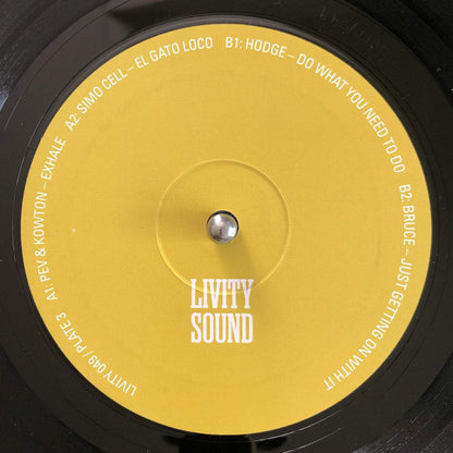 Various Molten Mirrors - A Decade Of Livity Sound 4xLP, Comp + Box Mint (M) Mint (M)